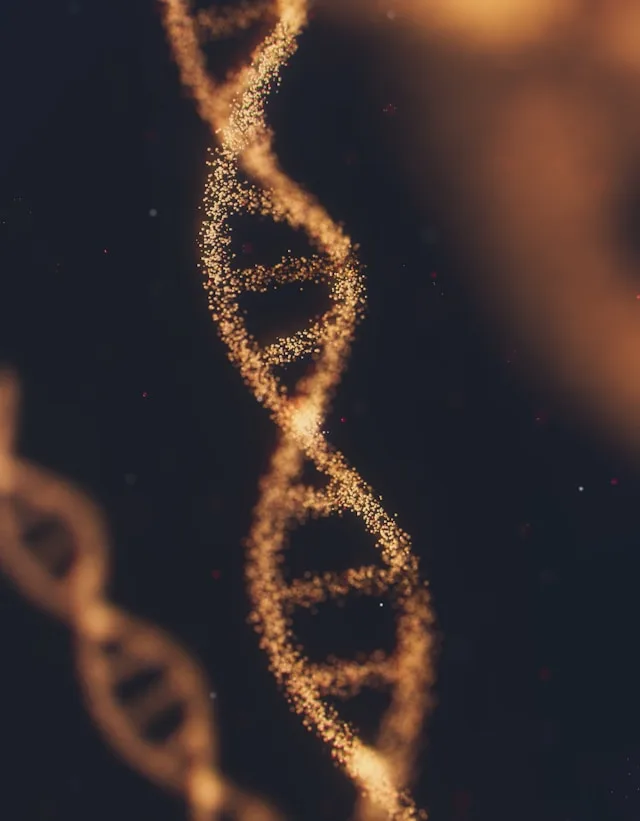DNA-Doppelhelix im Nahbereich