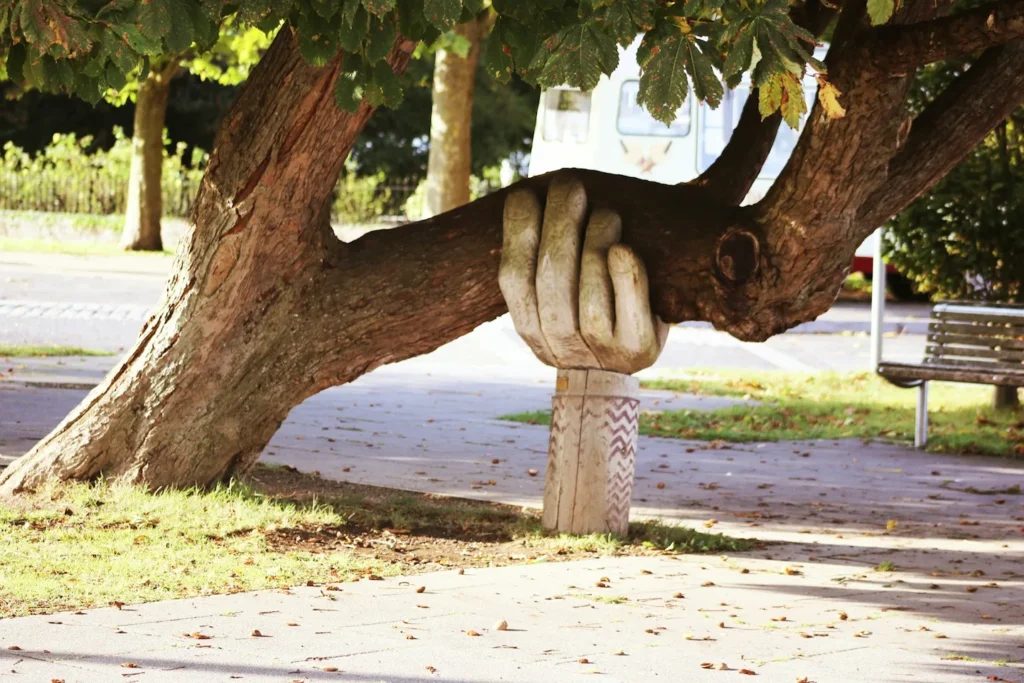 Hand holding on to a tree trunk