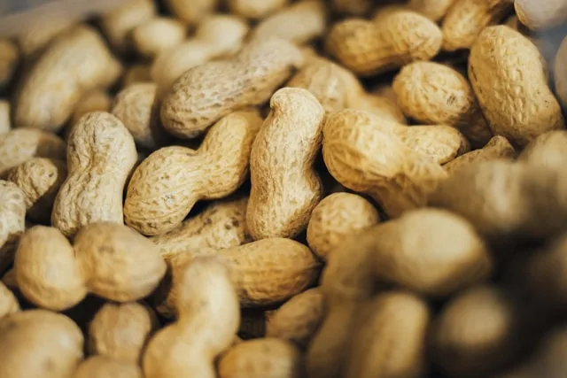 Peanuts in shells
